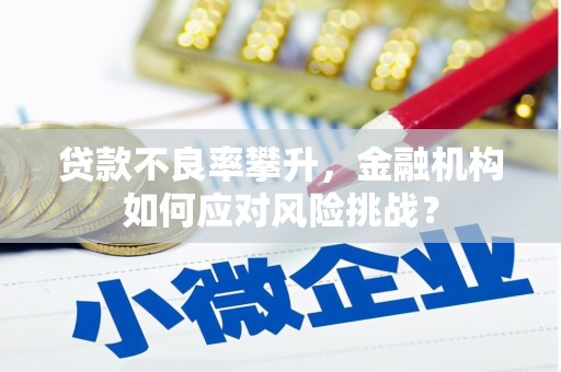 惠济贷款不良率攀升，金融机构如何应对风险挑战？