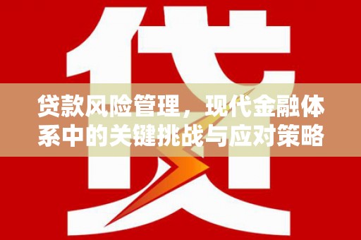 惠济贷款风险管理，现代金融体系中的关键挑战与应对策略