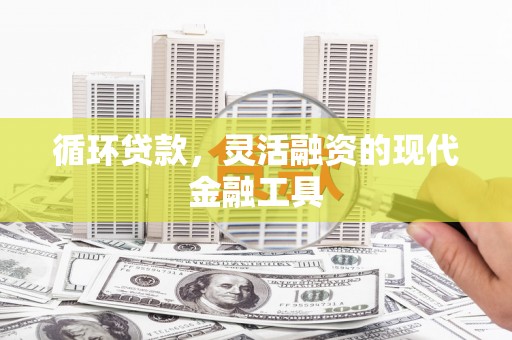 惠济循环贷款，灵活融资的现代金融工具