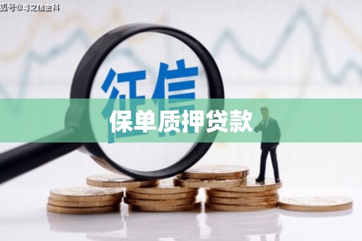 惠济保单质押贷款