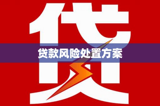 惠济贷款风险处置方案
