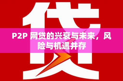 惠济P2P 网贷的兴衰与未来，风险与机遇并存