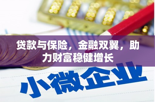 惠济贷款与保险，金融双翼，助力财富稳健增长
