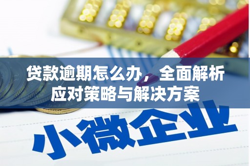 惠济贷款逾期怎么办，全面解析应对策略与解决方案