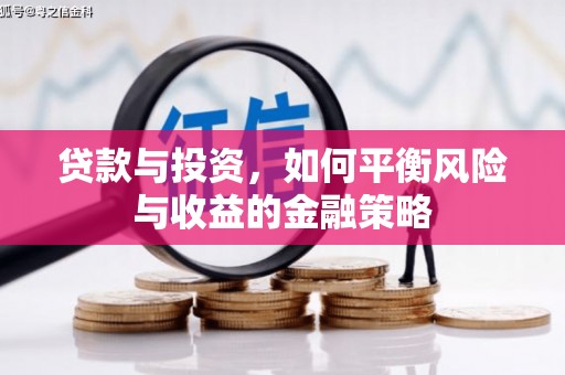 惠济贷款与投资，如何平衡风险与收益的金融策略