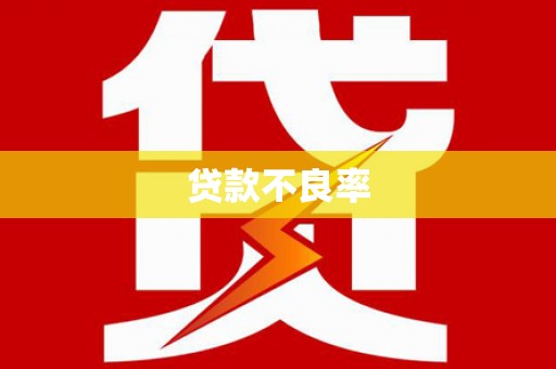 惠济贷款不良率
