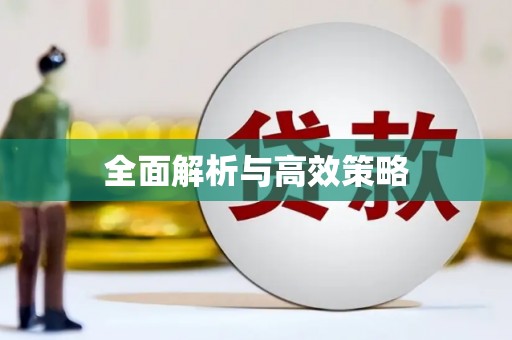 惠济全面解析与高效策略