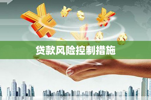 惠济贷款风险控制措施