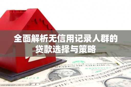惠济全面解析无信用记录人群的贷款选择与策略