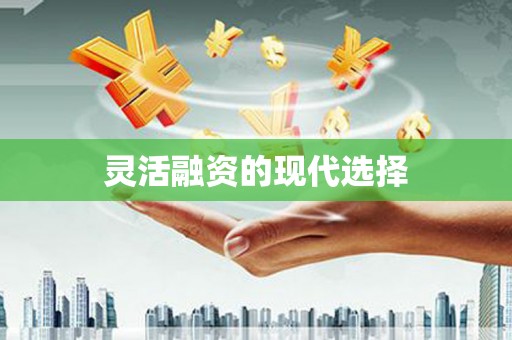 惠济灵活融资的现代选择