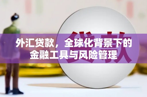 惠济外汇贷款，全球化背景下的金融工具与风险管理