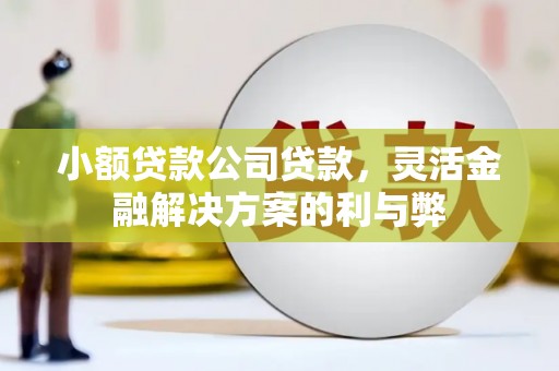 惠济小额贷款公司贷款，灵活金融解决方案的利与弊