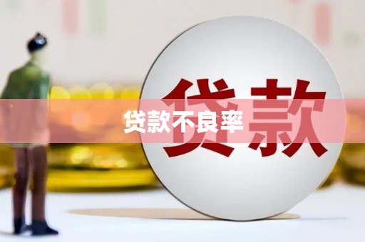 惠济贷款不良率