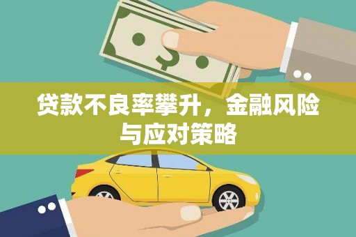 惠济贷款不良率攀升，金融风险与应对策略