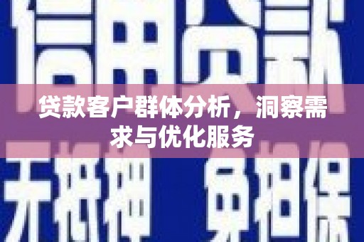 惠济贷款客户群体分析，洞察需求与优化服务